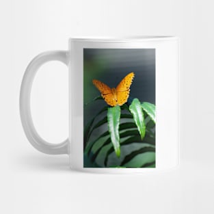 Orange Lacewing At Rest Mug